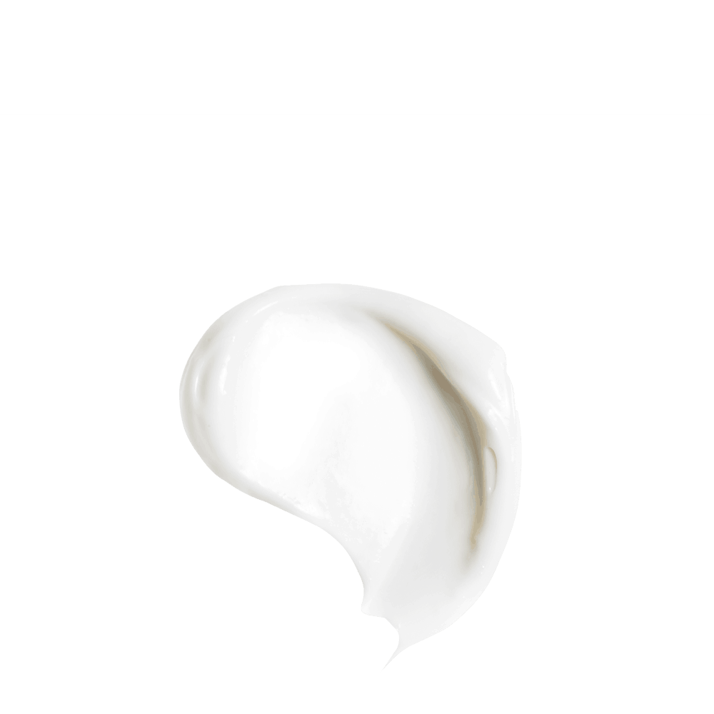 a2 6