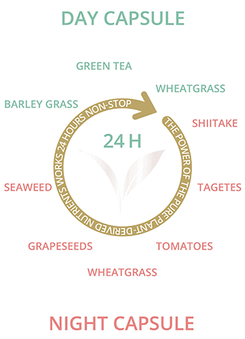 timeblock ingredients